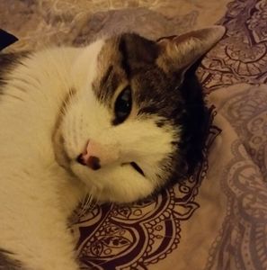 Meet your Posher, Rick